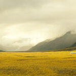 Apakah Peralihan Hak Atas Tanah Sudah Terjadi Dengan PPJB ?